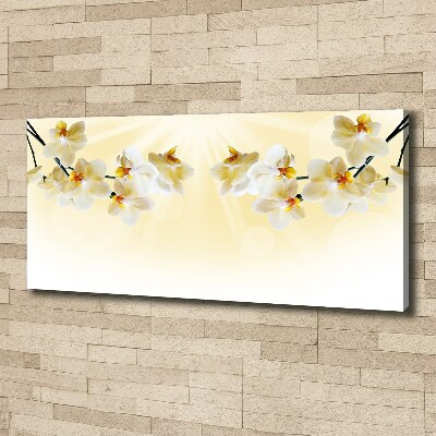 Canvas foto Orchidee