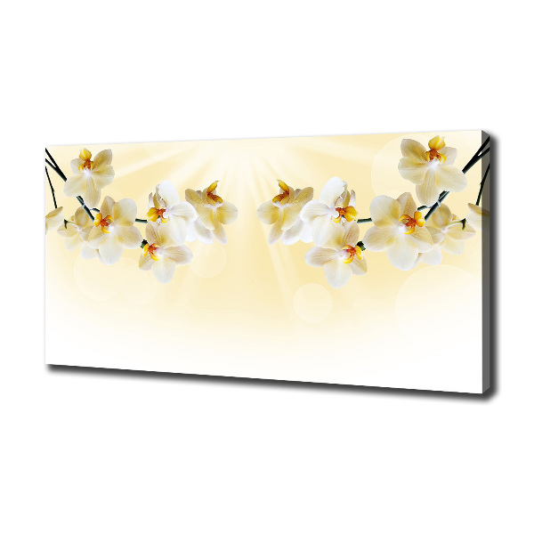 Canvas foto Orchidee