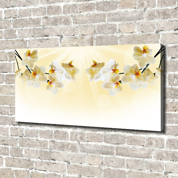 Canvas foto Orchidee