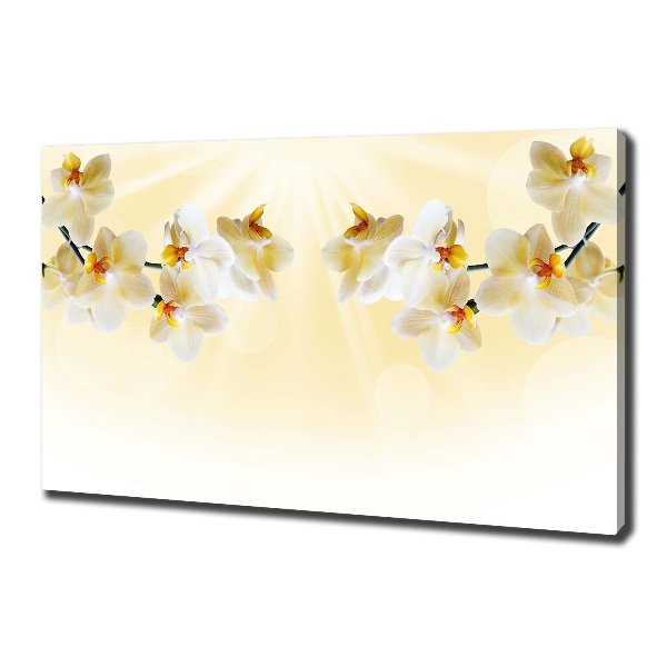 Canvas foto Orchidee