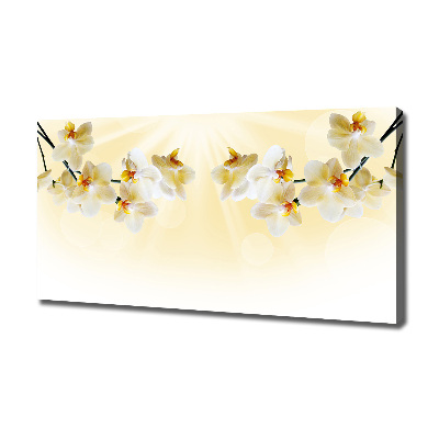 Canvas foto Orchidee