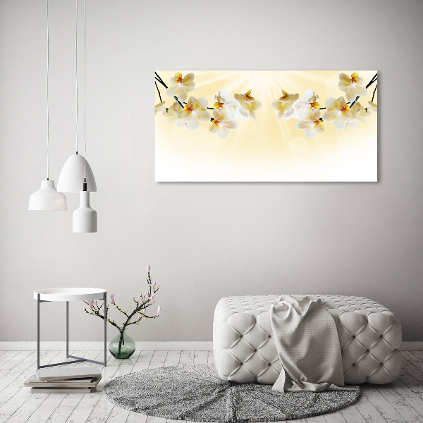 Canvas foto Orchidee