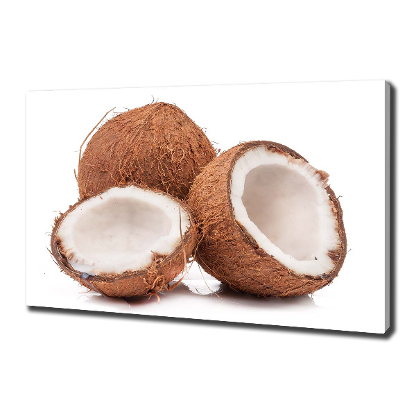Canvas schilderij Kokosnoot
