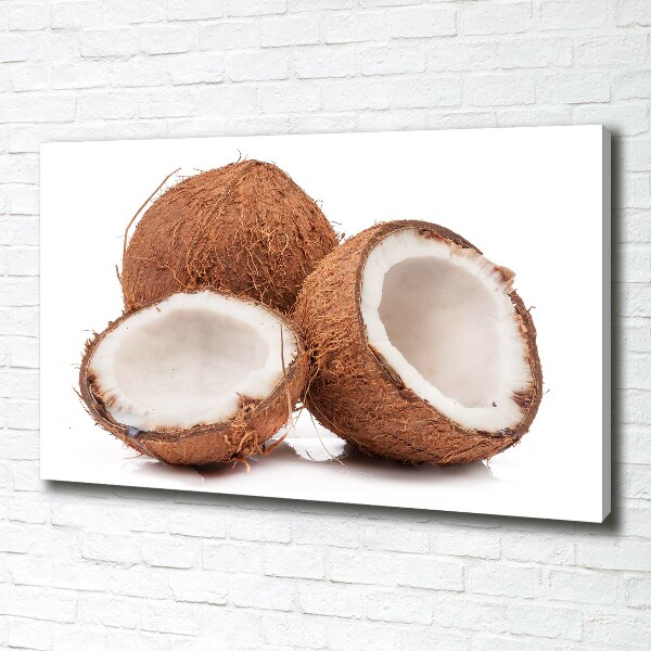 Canvas schilderij Kokosnoot