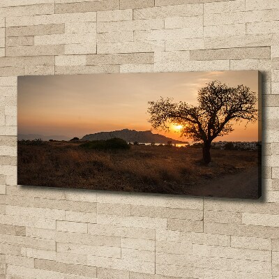 Foto op canvas Zonsondergang