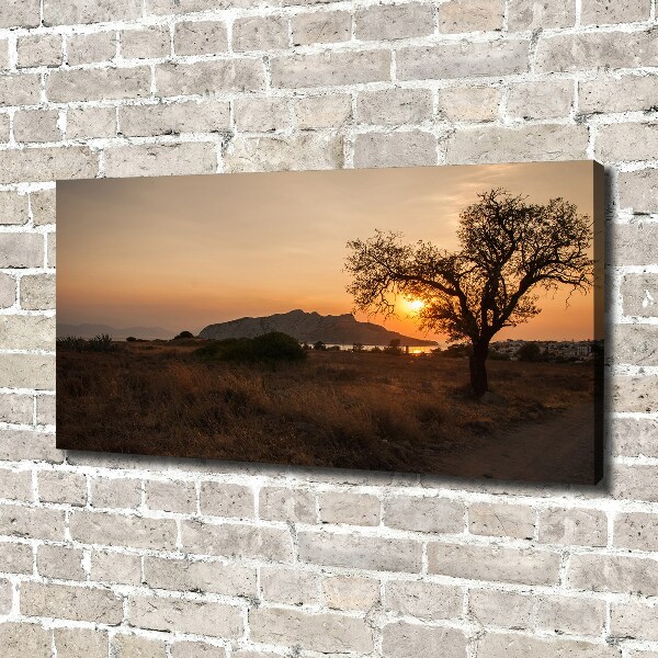 Foto op canvas Zonsondergang