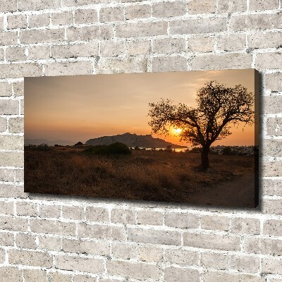 Foto op canvas Zonsondergang