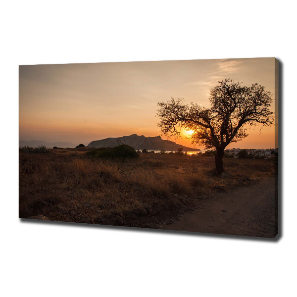 Foto op canvas Zonsondergang