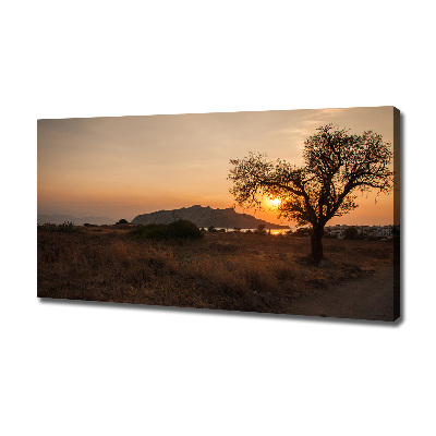 Foto op canvas Zonsondergang
