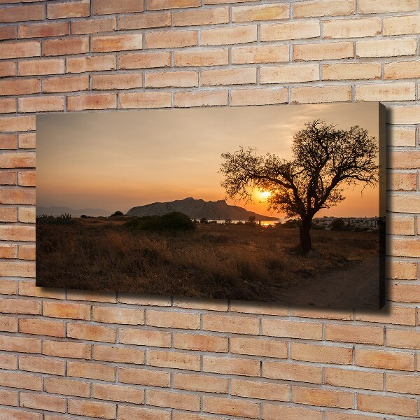 Foto op canvas Zonsondergang