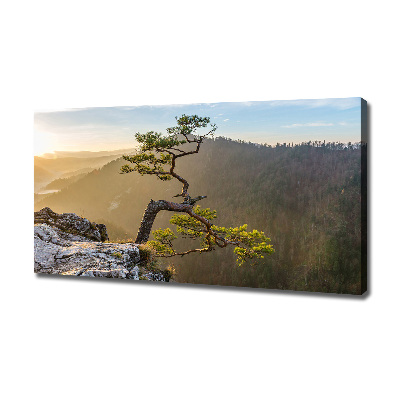 Canvas foto Sokolica Pieniny