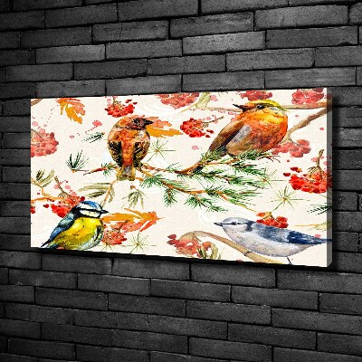 Foto canvas Naaldhoutbomen en vogels