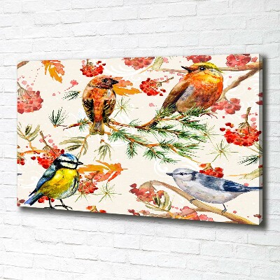 Foto canvas Naaldhoutbomen en vogels