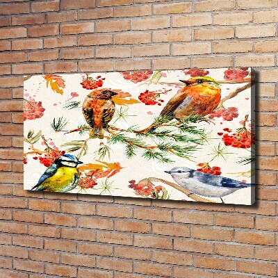 Foto canvas Naaldhoutbomen en vogels