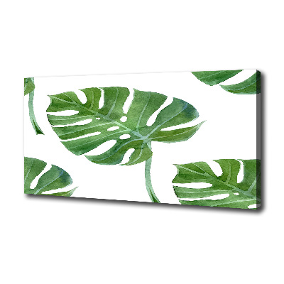 Foto op canvas Monstera