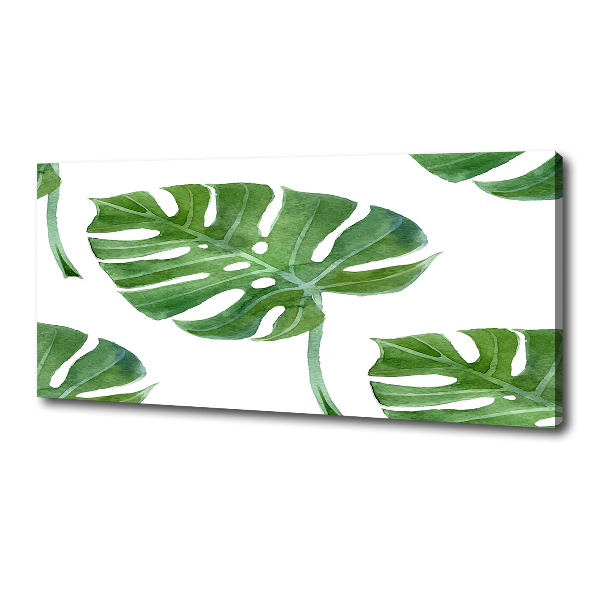 Foto op canvas Monstera