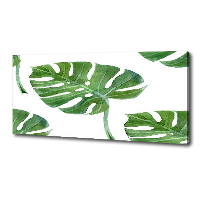 Foto op canvas Monstera
