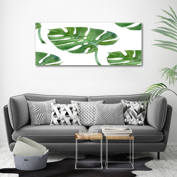 Foto op canvas Monstera