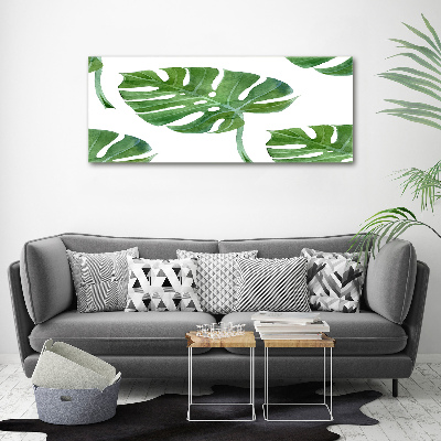 Foto op canvas Monstera