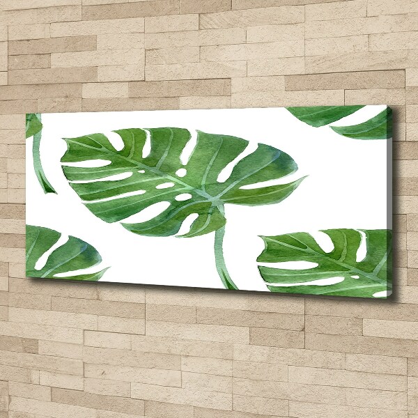 Foto op canvas Monstera
