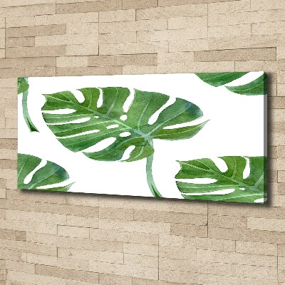 Foto op canvas Monstera