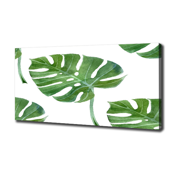 Foto op canvas Monstera