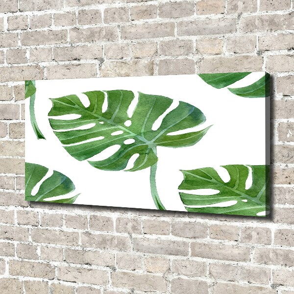 Foto op canvas Monstera