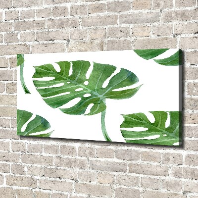 Foto op canvas Monstera