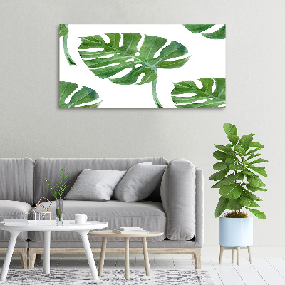 Foto op canvas Monstera