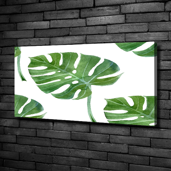 Foto op canvas Monstera