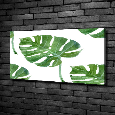 Foto op canvas Monstera