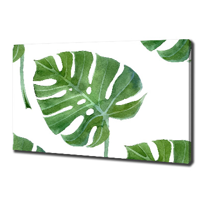 Foto op canvas Monstera