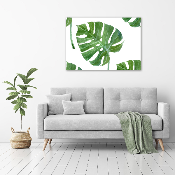 Foto op canvas Monstera