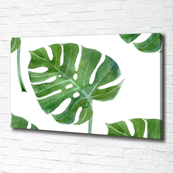 Foto op canvas Monstera