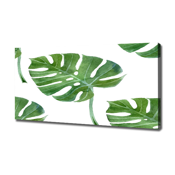 Foto op canvas Monstera