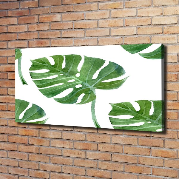 Foto op canvas Monstera