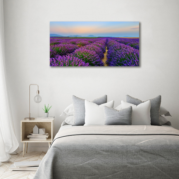 Schilderij op canvas Lavendelveld