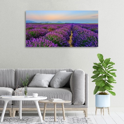 Schilderij op canvas Lavendelveld
