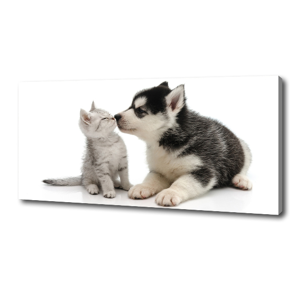Foto canvas Hond en kat