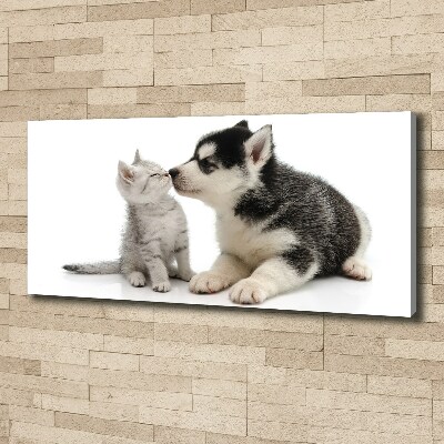 Foto canvas Hond en kat
