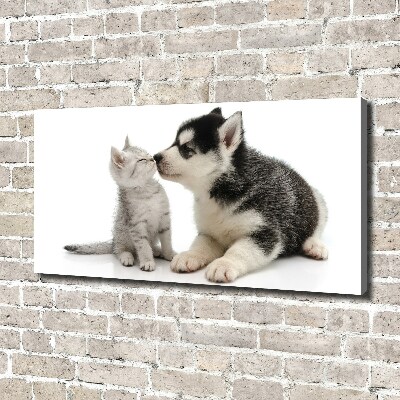Foto canvas Hond en kat