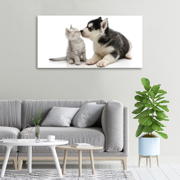 Foto canvas Hond en kat