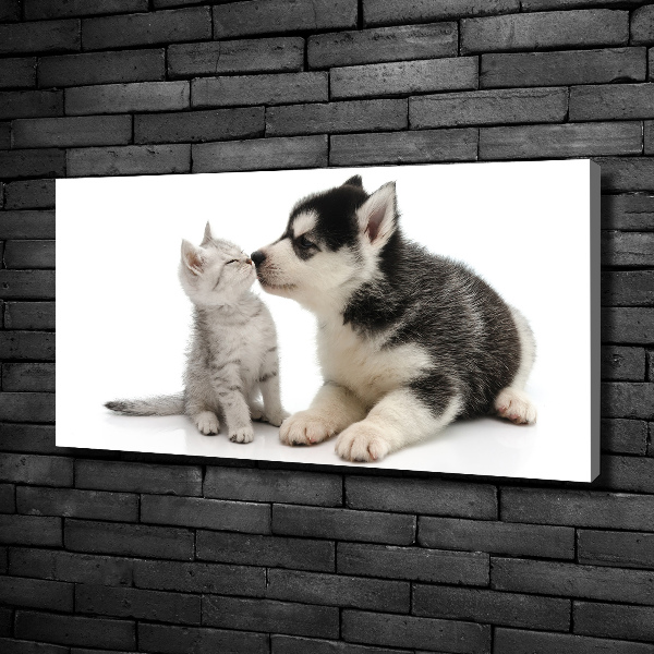 Foto canvas Hond en kat