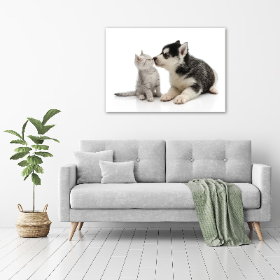 Foto canvas Hond en kat