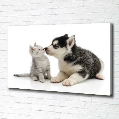 Foto canvas Hond en kat