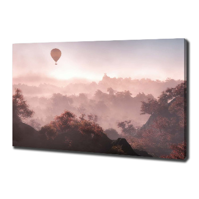Foto canvas Ballonvaart boven het bos