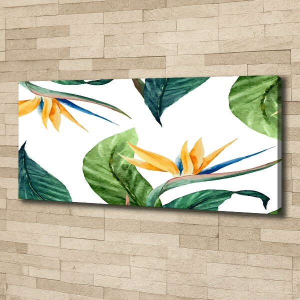 Foto canvas Tropische bloemen