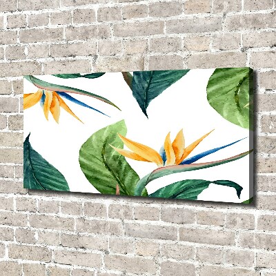 Foto canvas Tropische bloemen