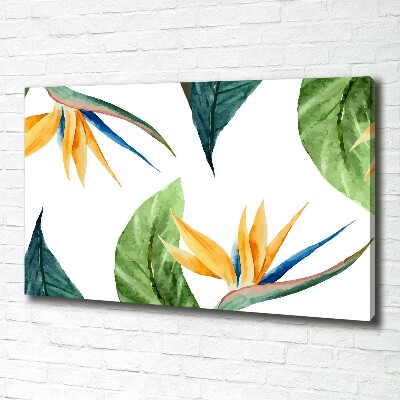 Foto canvas Tropische bloemen