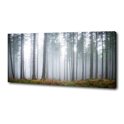 Schilderij op canvas Mist in het bos
